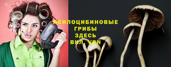 не бодяженный Арсеньев