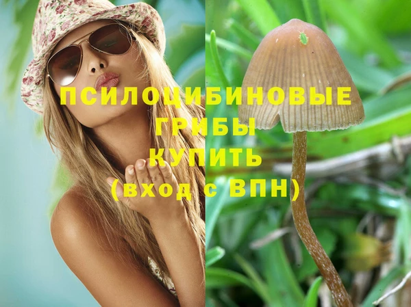 не бодяженный Арсеньев