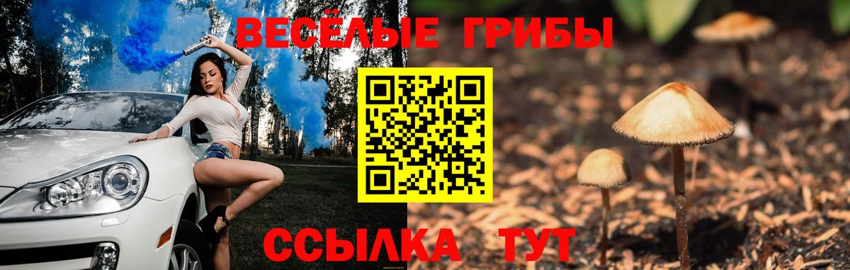 Галлюциногенные грибы Psilocybe Киреевск